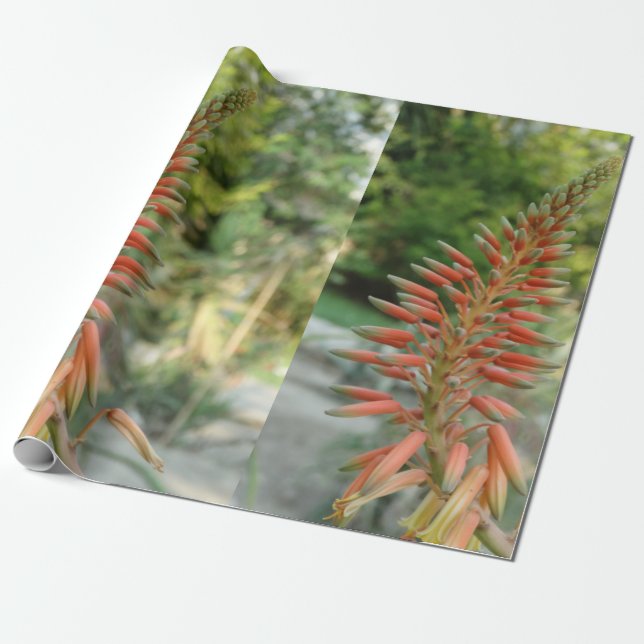 Aloe Vera Photo Linen Wrapping Paper, 30 in x 6 ft Paper (Unrolled)