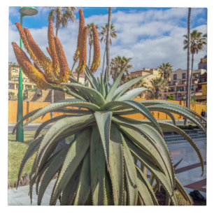 Aloe Vera plant and flowers ceramic photo tile