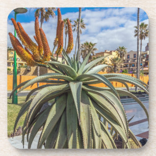Aloe Vera plant and flowers hard plastic coasters