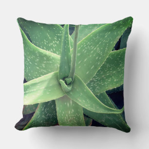 Aloe Vera Plant  Cushion