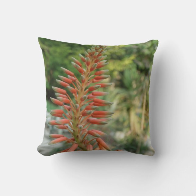 Aloe Vera Plant Photo Throw Cushion (Front)