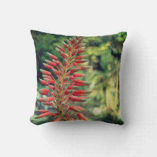 Aloe Vera Plant Photo Throw Cushion, Aloe Cushion