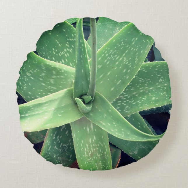 Aloe Vera Plant  Round Cushion (Front)