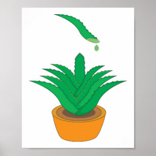 Aloe Vera Poster