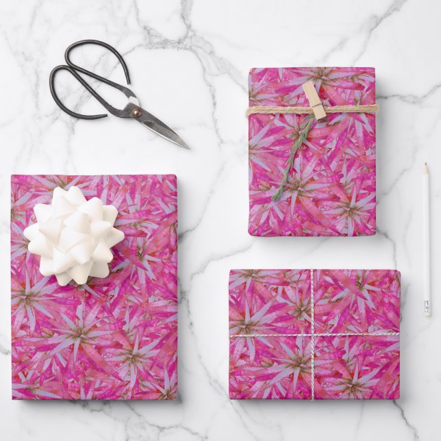 Aloe vera red plant motif intricate pattern wrapping paper sheet (Front)
