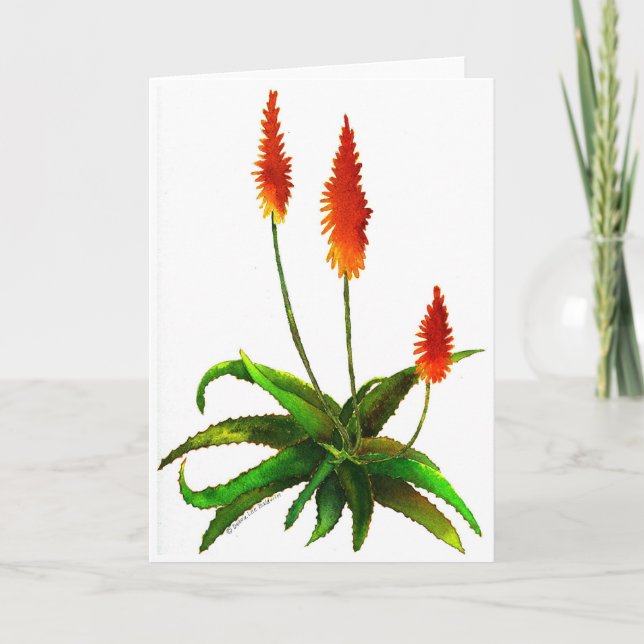 Aloe watercolor card (Front)