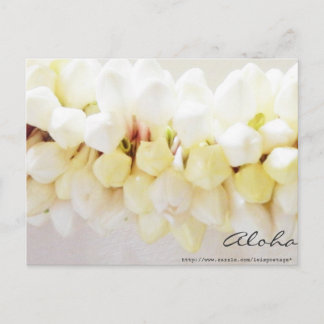 Aloha and Mahalo Postcard