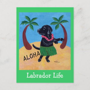 Aloha Black Labrador Postcard