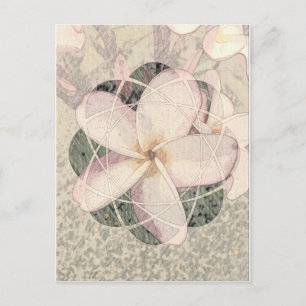Aloha Blossom Postcard