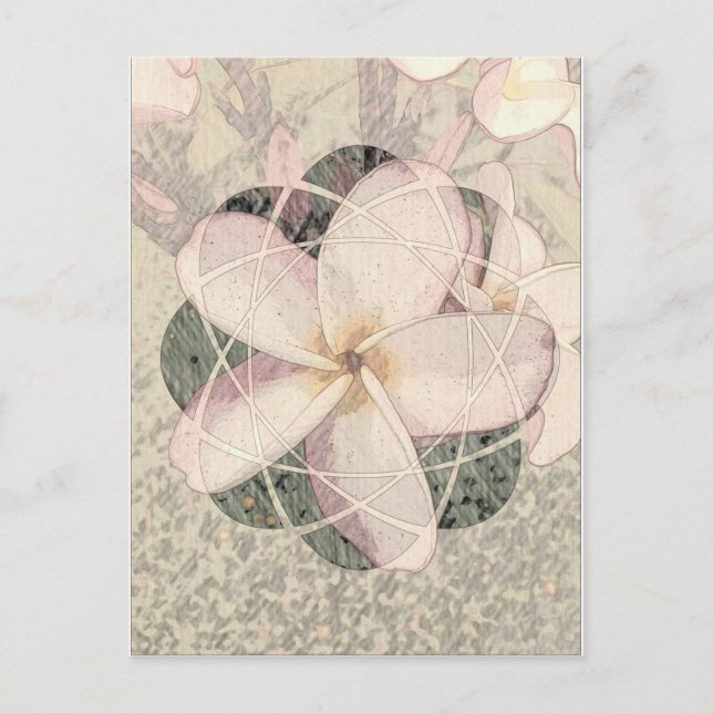 Aloha Blossom Postcard (Front)