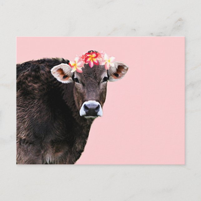 Aloha Cow, Lei, Pink Summertime Fun Postcard (Front)
