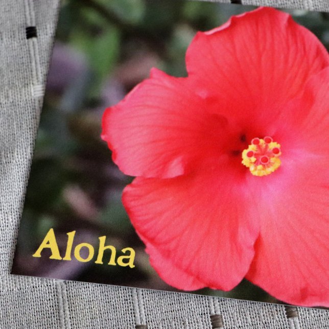 Aloha From Hawaii Hawaiian Vacation                Postcard (Creator Uploaded)