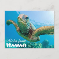 Aloha from Hawaii Honu Green Sea Turtle