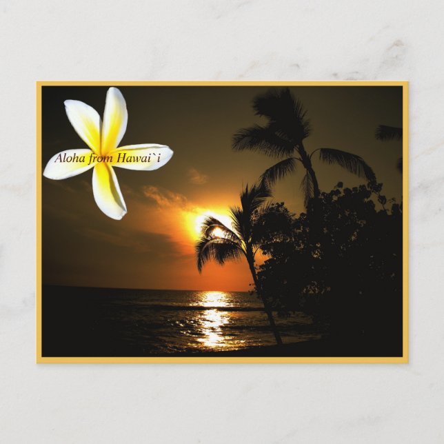 Aloha from Hawaii Plumeria Sunset Postcard (Front)