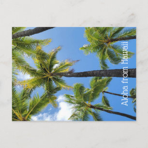 Aloha from Hawaii Postcard