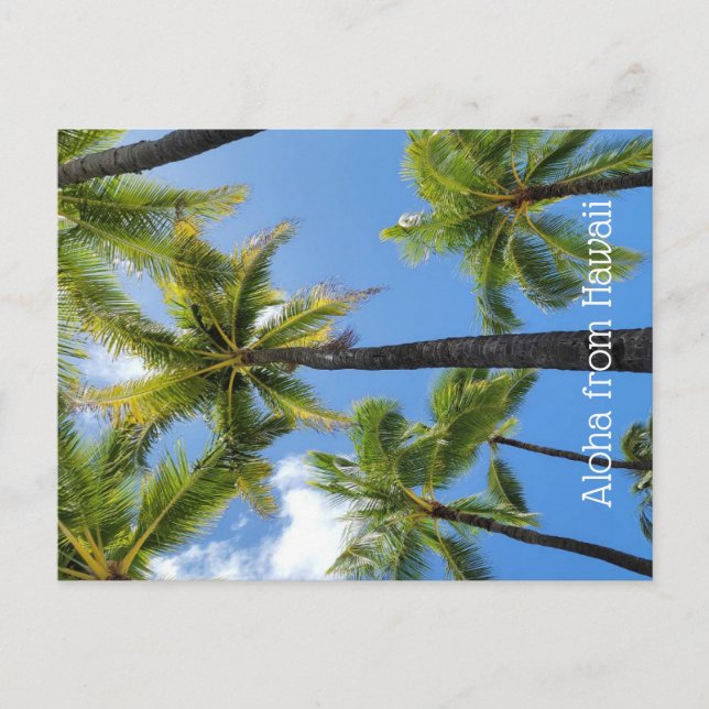 Aloha from Hawaii Postcard (Front)