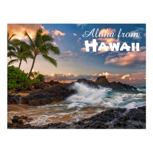 Aloha from Hawaii Postcard | Zazzle.com.au