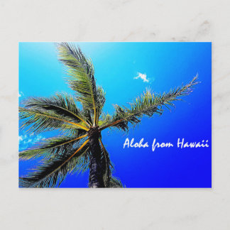 Aloha from Hawaii Postcard