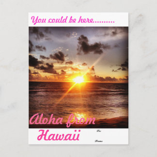 Aloha from Hawaii Postcard