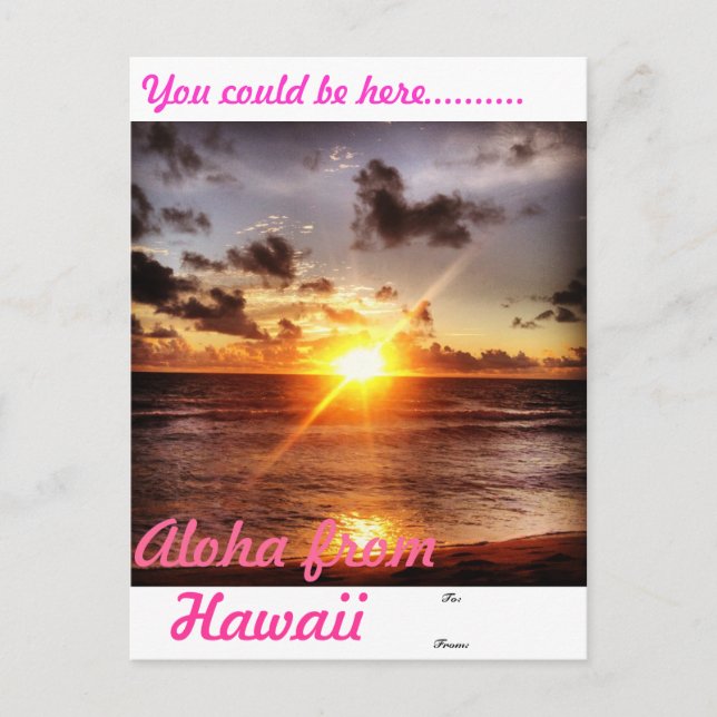 Aloha from Hawaii Postcard (Front)