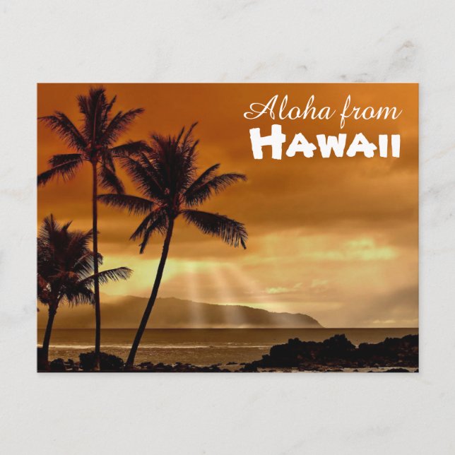 Aloha from Hawaii Postcard (Front)