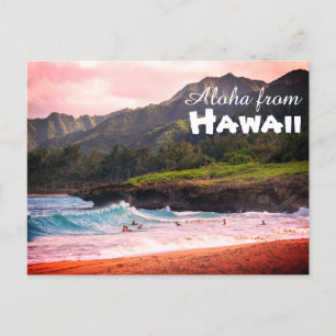 Aloha from Hawaii Postcard