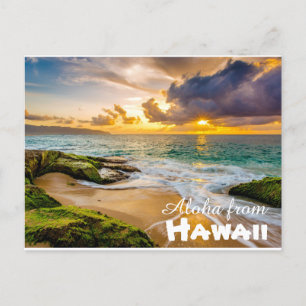 Aloha from Hawaii Postcard