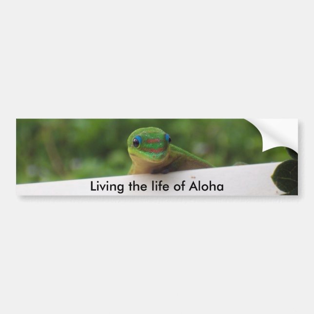 Aloha Gecko stickers (Front)