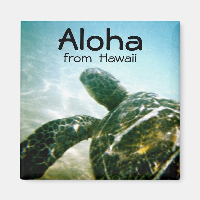 Aloha Hawaii Sea Turtle Magnet (Front)