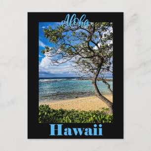Aloha Hawaii travel poster Postcard