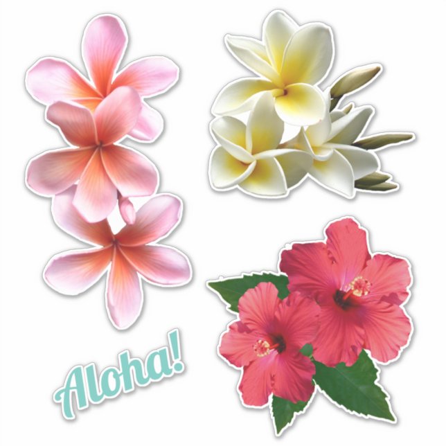 Aloha Hawaiian Flowers Plumeria Hibiscus  (Front)