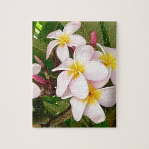 Aloha Hawaiian Frangipani Blossoms Bridal Shower Jigsaw Puzzle