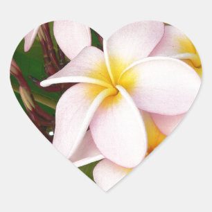 Aloha Hawaiian Frangipani Blossoms Plumerias Heart Sticker