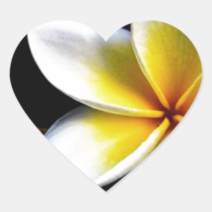 Aloha Hawaiian Frangipani Blossoms Plumerias Heart Sticker