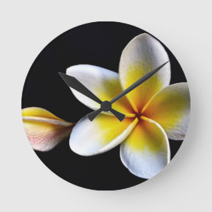 Aloha Hawaiian Frangipani Blossoms Plumerias Round Clock