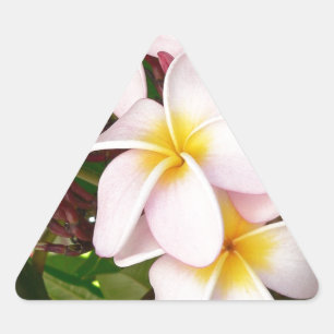 Aloha Hawaiian Frangipani Blossoms Plumerias Triangle Sticker