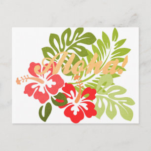 Aloha Hibiscus Postcard