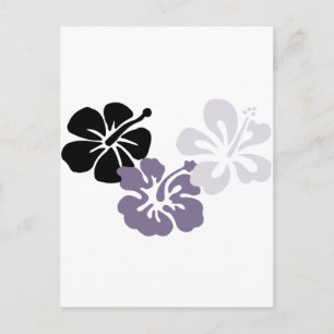 aloha mahalo grey hibiscus postcard