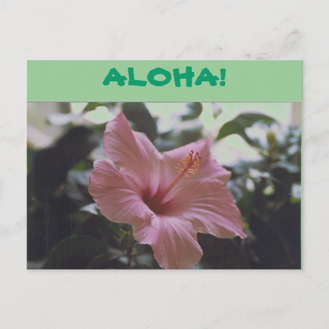 ALOHA! - postcard (Front)