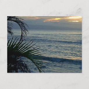 Aloha Postcard