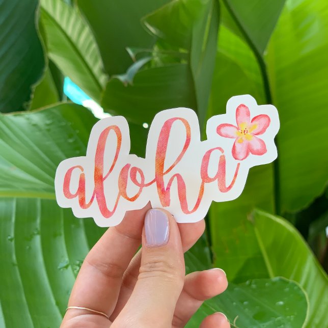 Aloha Quote Hawaii Watercolor Tropical (Creator Uploaded)