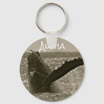 Aloha Whale
