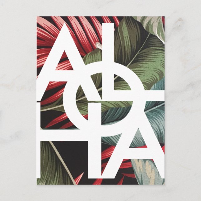 Aloha White Square Red Palm Postcard (Front)