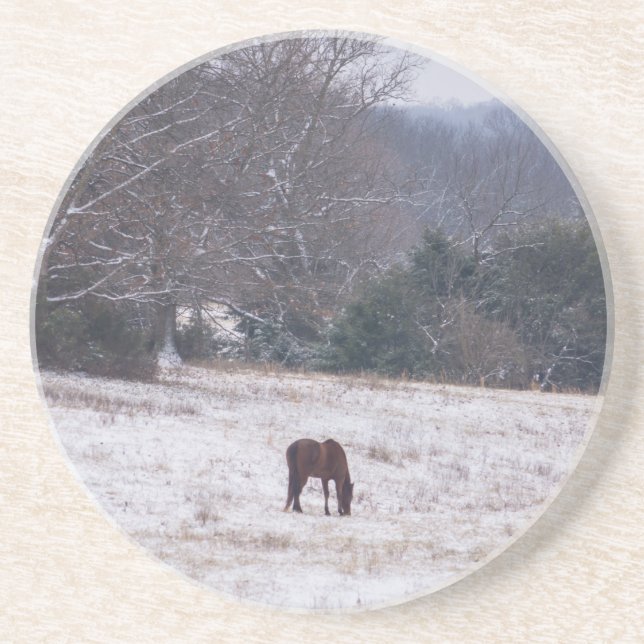 Alone In The Snow Coaster (Front)