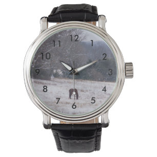 Alone In The Snow Watch