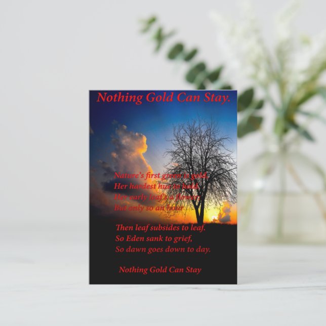 Alone Tree Postcard (Standing Front)