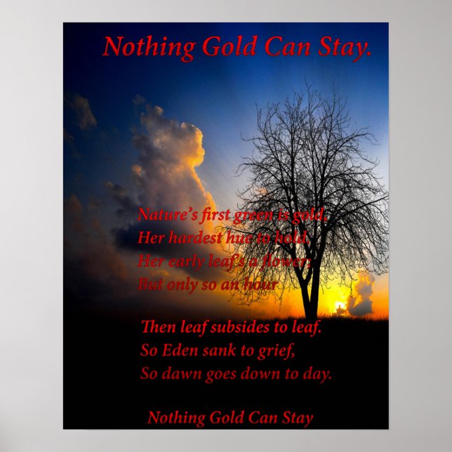 Alone Tree Poster (Front)