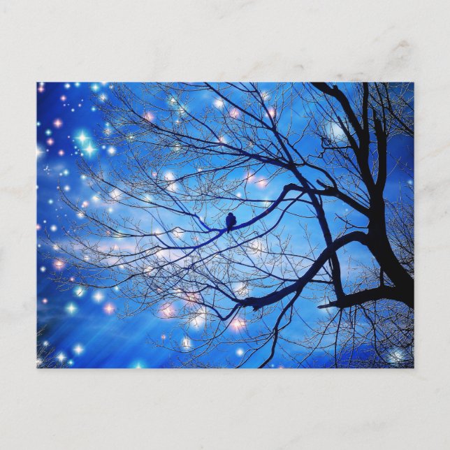 Alone With The Stars Postcard (Front)