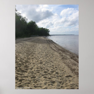 "Along the Beach" poster