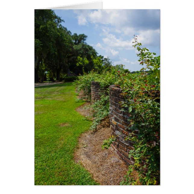 Along The Curved Wall (Front)